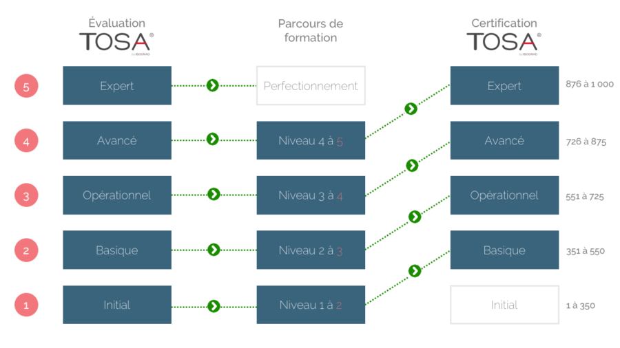 Formation Excel Grille de niveaux TOSA DESKTOP